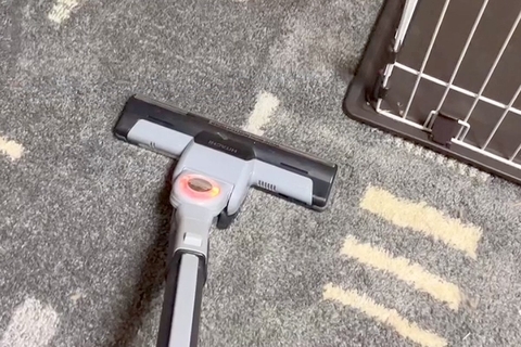 掃除機をかけている最中、部屋の隅っこに隠れてしまった2匹の犬→あまりに可愛い『結託する光景』が231万再生「信じられないものを見る目ｗ」