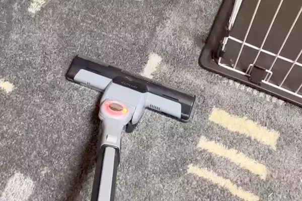 掃除機をかけている最中、部屋の隅っこに隠れてしまった2匹の犬→あまりに可愛い『結託する光景』が231万再生「信じられないものを見る目ｗ」