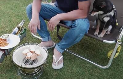 『泣ける』豆柴との出会いから1年間を振り返ったら…幸せな光景に117万再生の大反響「涙が出ます」「本当に可愛い」と感動の声