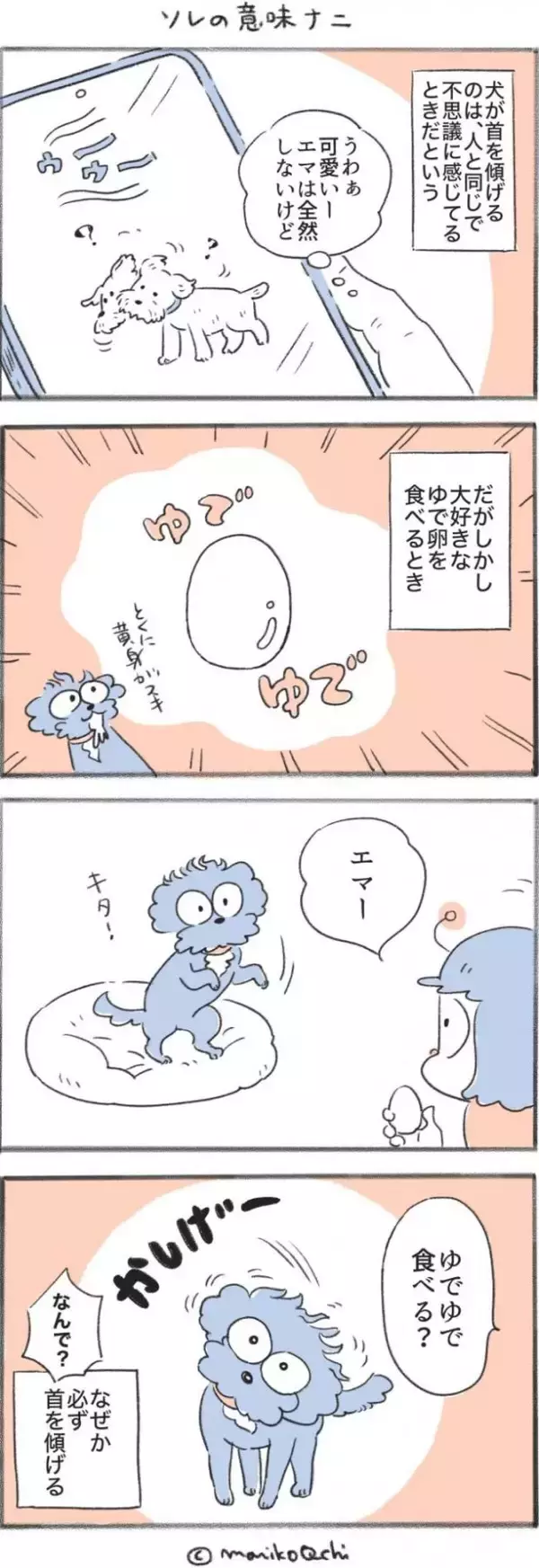 犬と暮らせば【第514話】「ソレの意味ナニ」