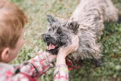 犬が『ワガママな性格になる』絶対NG行為5選　愛犬からの要求に対する適切な対応まで