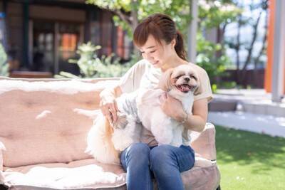 犬の『換毛期』飼い主の絶対NG行為4選　健康的な被毛を保つ方法までご紹介