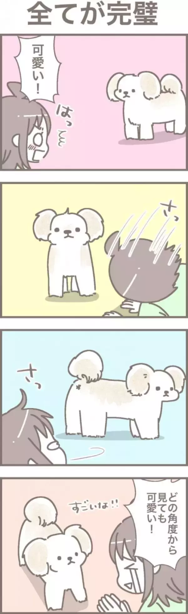 うちの王様にはどうしても抗えない【第307話】「全てが完璧」