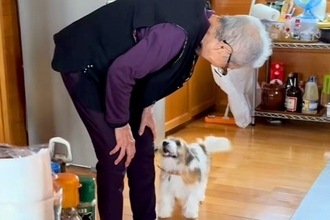 『96歳のおばあちゃんと子犬』が初めて出会った結果→まるで本当の孫のような『ふたりのやり取り』に反響「可愛すぎて泣けた」「嬉しそう」