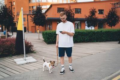 犬との散歩で『知っておくべきマナー』とは？飼い主が絶対やってはいけないNG行為まで