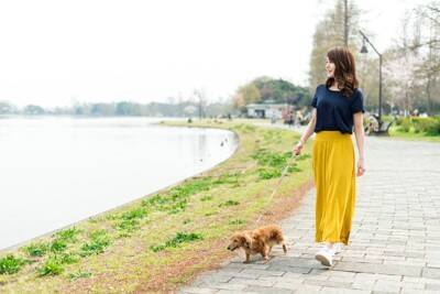 犬に危険な『春の野草』5選　万が一誤食してしまったときの中毒症状とは？