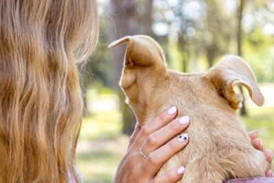 犬が『背中を向けて座る』心理５選　飼い主のことをどう思っているの？愛犬の本音まで