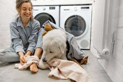 犬が飼い主の『服の上で眠る』心理４選　洗濯物からどいてくれないワケや止めてほしい場合の対策まで