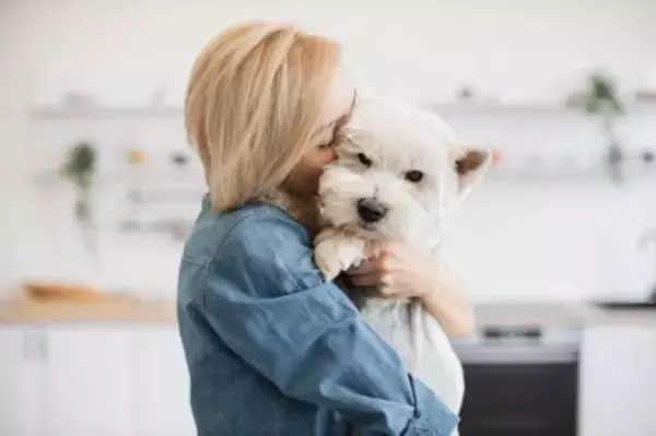 犬を『抱っこ』するときのタブー行為5選　飼い主の間違った抱き方によるデメリットとは？