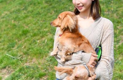 犬を『抱っこ』するときのタブー行為5選　飼い主の間違った抱き方によるデメリットとは？