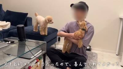 犬が6日ぶりに飼い主と再会したら…熱烈に『全身で喜ぶお出迎え』が感動的すぎると12万再生「嬉しさMAXで泣ける」「待ってたんだね」