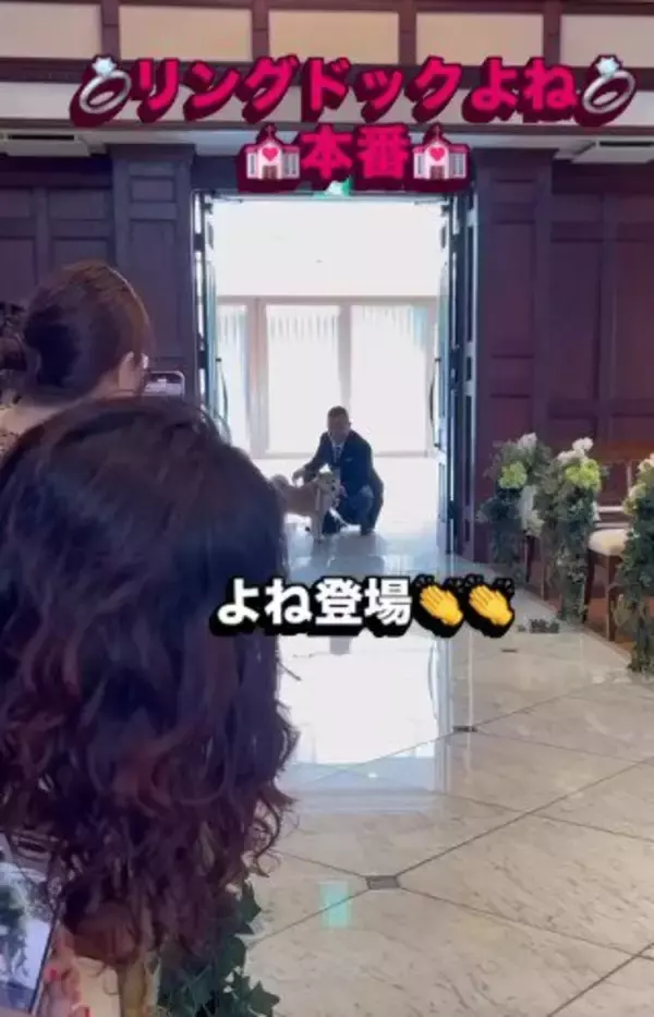 結婚式で『指輪を運ぶ役』を任された犬→リハーサルは完璧だったのに…『まさかの結末』が41万再生「最高ですｗ」「可愛すぎる」と称賛の声