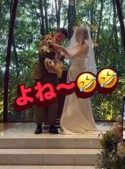 結婚式で『指輪を運ぶ役』を任された犬→リハーサルは完璧だったのに…『まさかの結末』が41万再生「最高ですｗ」「可愛すぎる」と称賛の声