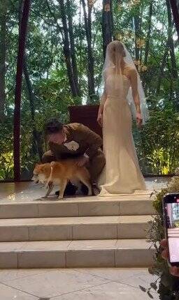 結婚式で『指輪を運ぶ役』を任された犬→リハーサルは完璧だったのに…『まさかの結末』が41万再生「最高ですｗ」「可愛すぎる」と称賛の声