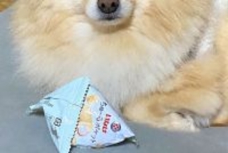 『食べたことのないオヤツ』をもらった犬→あまりにも美味しくて…『まさかの行動と表情』が可愛すぎると17万表示「うるうるｗ」「癒された」