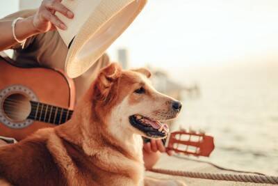 犬が大喜びする『音』5選　好む理由や暮らしの中で簡単に取り入れる方法までご紹介