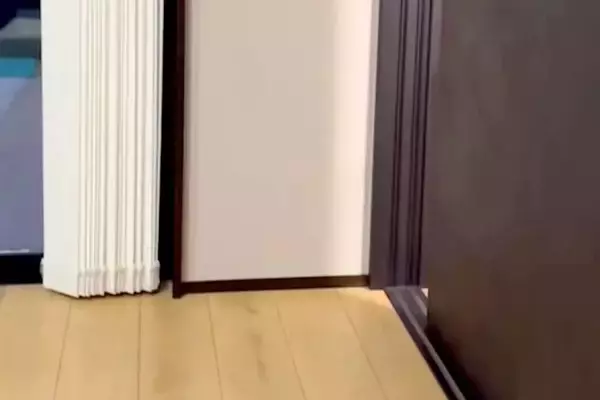 大型犬の子犬が『ドアの向こうで鳴いた』と思ったら…顔からは想像できない『衝撃の鳴き方』が17万再生「おじさんｗｗ」「ワンじゃないの草」