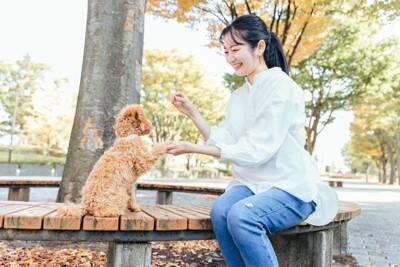 犬が『自信満々』なときにみせる行動4つ　愛犬のやる気を出させるために飼い主ができることまで