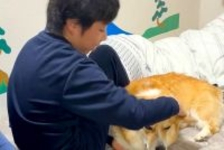 『花粉症やから！』どうしても男の子と一緒に寝たい犬→無理だと伝えると…思った以上に『駄々をこねる光景』が21万再生「断固たる決意ｗ」