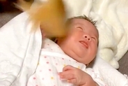 赤ちゃんが、生まれてからずっと『犬のしっぽを顔に当てられ続けた』結果→半年後…洗礼を受け入れた光景が52万再生「慣れてて草」「可愛い」