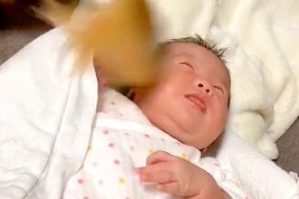 赤ちゃんが、生まれてからずっと『犬のしっぽを顔に当てられ続けた』結果→半年後…洗礼を受け入れた光景が52万再生「慣れてて草」「可愛い」