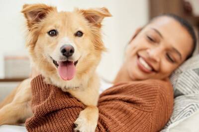 犬の寛容さに甘えてしまっているかも？『ボディランゲージ』を学んで、愛犬と信頼関係を築こう