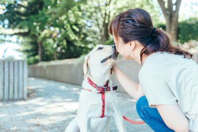 犬が『自信を失くした』ときにみせる行動5選　愛犬の自己肯定感を高める接し方まで解説