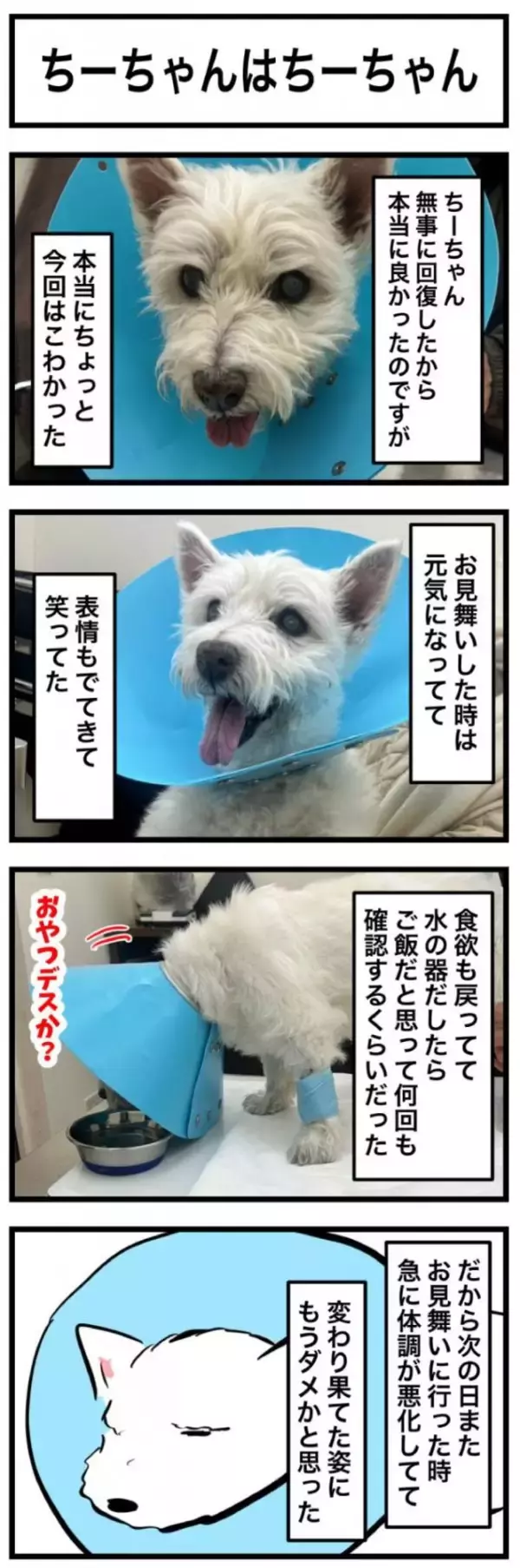 ちーちゃんですけどもっ【第347話】「ちーちゃんはちーちゃん」