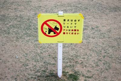 犬との『ゴールデンウィーク』3つの楽しみ方　一緒に出かけるときの絶対NG行為まで