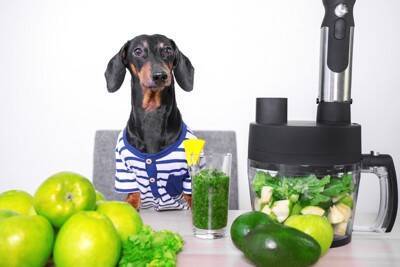 犬は『野菜ジュース』を飲んでも大丈夫？市販のモノは危険？誤って摂取した場合のリスクまで