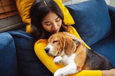 犬の『突然死』を招く絶対NG行為5選　飼い主が見直すべき習慣や予防策まで