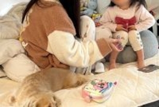 女の子の爪を切っていたら、犬が『構ってもらえない』と拗ねて…100点満点の『困り顔』に11万いいね「ディズニー感ｗ」「反則的な可愛さ」