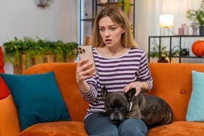 犬が『痛い』と思っているときにみせる行動５選　見逃したくないサインや注意点まで