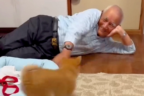 おじいちゃんが『小さな子犬』と初めて会った結果→互いにテンションが上がり…ずっと見ていたいやり取りに反響「おじいちゃんの方が面白くてｗ」