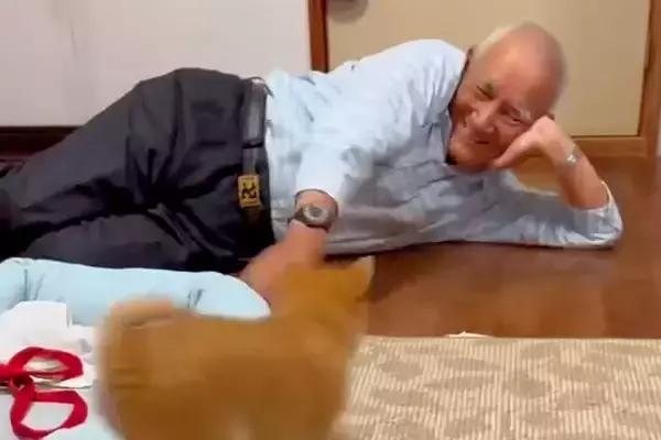 おじいちゃんが『小さな子犬』と初めて会った結果→互いにテンションが上がり…ずっと見ていたいやり取りに反響「おじいちゃんの方が面白くてｗ」