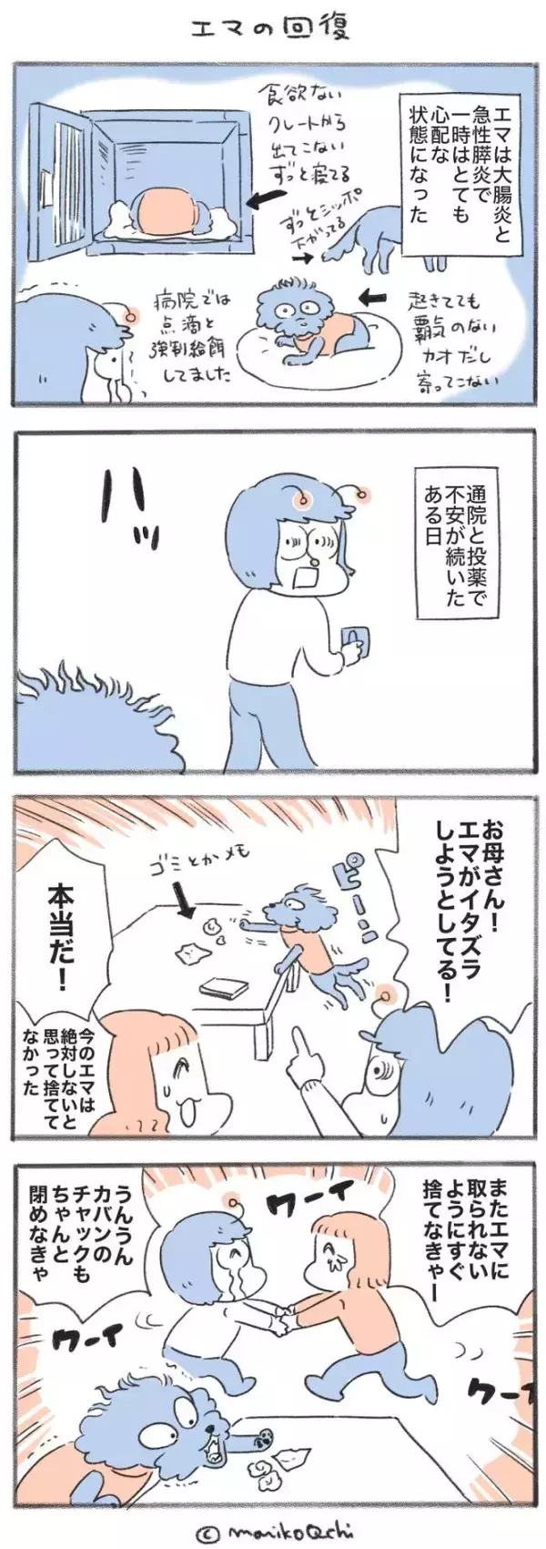 犬と暮らせば【第538話】「エマの回復」