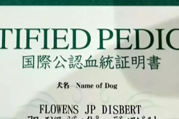 『犬の血統書』が届いたので確認したら…衝撃的な『本当の名前』がSNSで話題「うちはブロッコリーだった」「フラミンゴでした」と18万再生