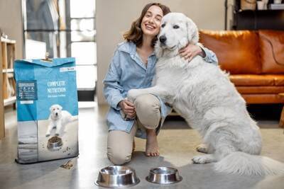 犬が思う『いい飼い主』の特徴４選　理想的な関係値とは？なにを意識すればいいの？