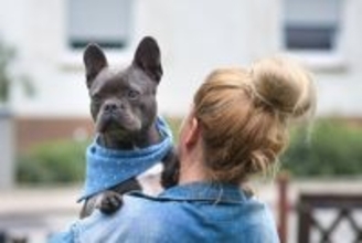 犬を抱っこしすぎるとどうなる？体への負担や考えられるリスクまで解説