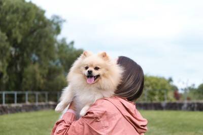 犬を抱っこしすぎるとどうなる？体への負担や考えられるリスクまで解説