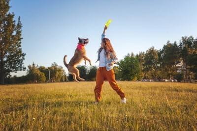 『元気すぎる犬種』3選　とにかく運動が大好きなワンコの特徴や満足させる遊ばせ方まで