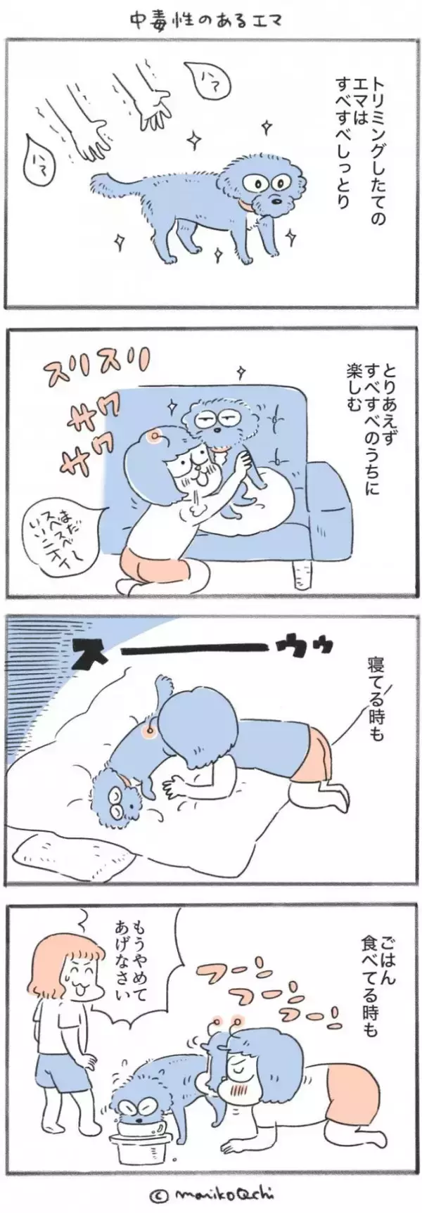 犬と暮らせば【第550話】「中毒性のあるエマ」