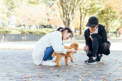 犬が人間の『お尻のニオイを嗅ぐ』心理５選　考えられる理由やしつこい場合の対処法まで