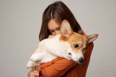 『飼い主のストレス』は犬に伝わるの？愛犬に与える悪影響や不安にさせないための配慮まで