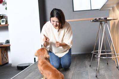 犬が人に飛びかかる『2つのリスク』飛びつき癖を直す方法や主な原因まで