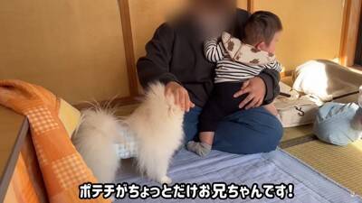 犬と猫が初めて『赤ちゃんの大泣き』を見た結果…2匹による『まさかの反応』が面白いと7万再生「なんだこの生き物は！って顔してるｗ」と爆笑