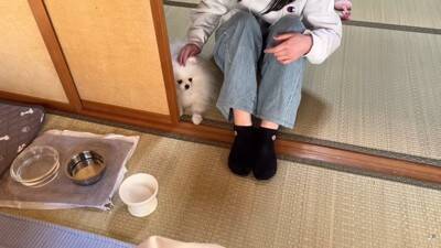 犬と猫が初めて『赤ちゃんの大泣き』を見た結果…2匹による『まさかの反応』が面白いと7万再生「なんだこの生き物は！って顔してるｗ」と爆笑