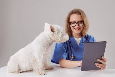 犬の『レッグペルテス病』危険な症状とは？考えられる原因や治療法まで