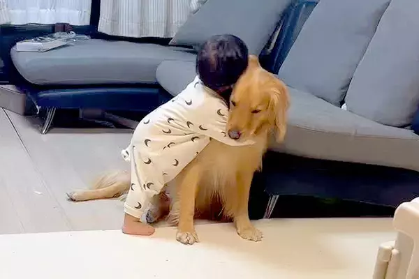 自分より早く生まれた『大型犬』が大好きな1歳の男の子→尊すぎる『愛を伝える成長記録』が163万再生「好き好きスリスリ」「可愛い兄弟」