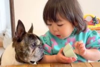 小さな女の子が、犬に『いちご食べる？』と聞いた結果→まるで会話をしているようで…尊いやり取りが86万再生「成り立ってる」「見てて幸せ」